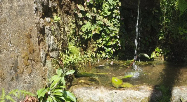 Вилла Casa da Terra Nova - Gerês