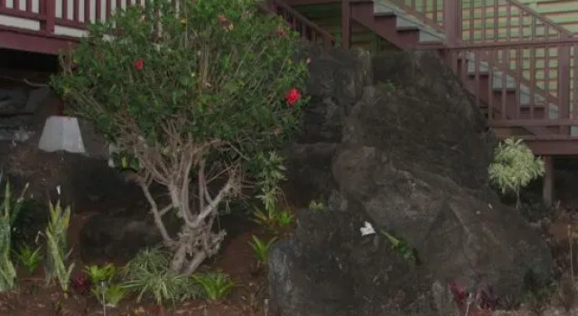 Vacation Rental Home in Kahala Hawaii, Foglalás Szálloda Honolulu Oahu