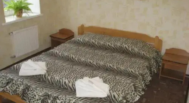 Номер Standard Paradize