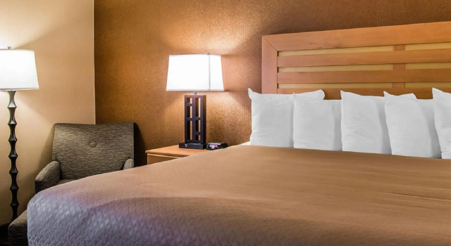 Номер Standard Quality Inn & Suites Warren - Detroit