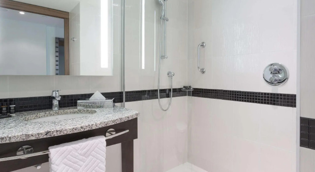 Двухместный номер Hampton by Hilton Warsaw City Centre