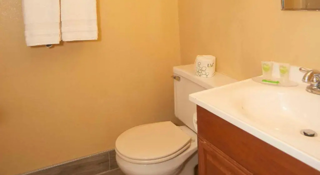 Номер Standard Swiss Chalets Village Inn