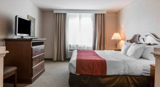 Люкс Comfort Inn & Suites East Greenbush - Albany
