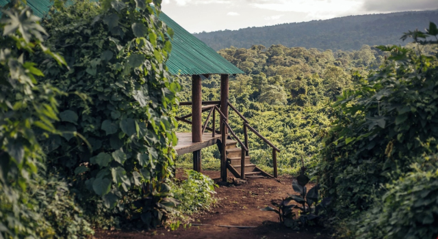 Тент Crater Forest Tented Camp