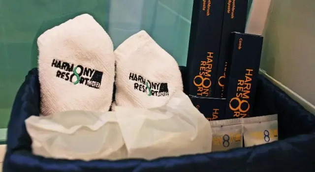 Двухместный номер Standard с балконом Harmony Resort Hotel