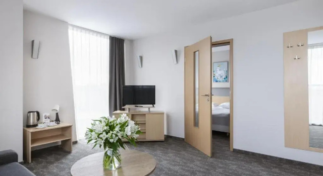 Трёхместный номер Standard Hotel Lechicka