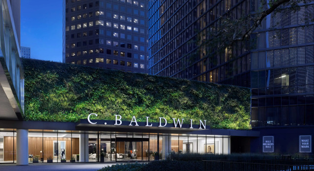 C. Baldwin, Curio Collection by Hilton