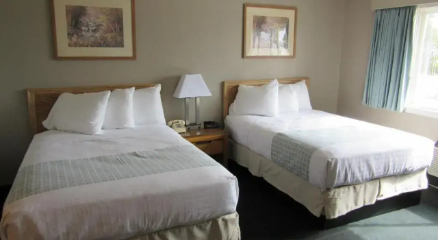 Четырёхместный номер Standard White Buffalo Hotel