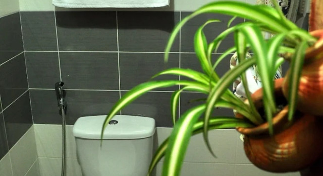 Двухместный номер Standard с красивым видом из окна Borneo Nature Lodge
