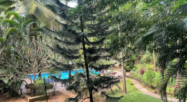 Tranquil Stay, Garden Estate - Palolem Beach, 1BHK Flat, Boek Appartement Appartementen in Lagos, Appartement
