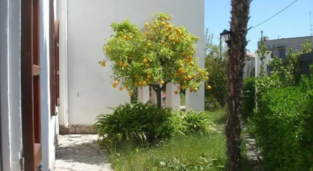 Villa immersa nel verde, spiaggia a 200m, Book Villa Hotels in Termoli with Parking, Parking