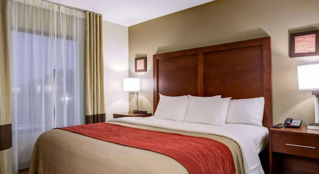 Comfort Inn & Suites Clemson - University Area, Забронировать Отель Отели Южной Каролины с завтраком, Завтраки