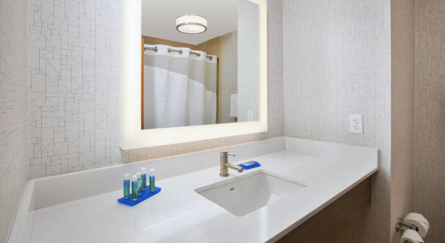 Четырёхместный номер Standard Holiday Inn Express Hotel & Suites Auburn Hills by IHG