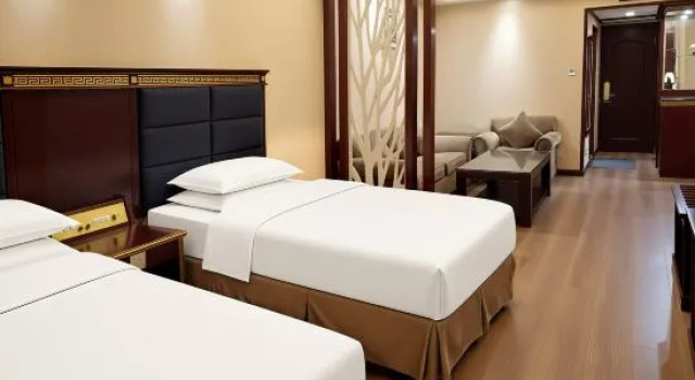 Biznes dwuosobowy suite Temeisi Hotel