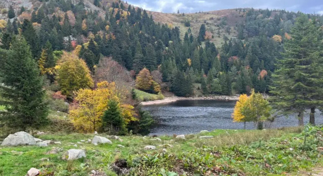 Коттедж Gîte de montagne -Bellefosse Alsace
