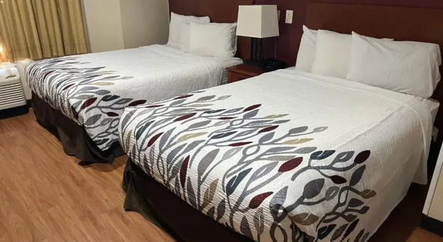 Четырёхместный номер Standard GreenTree Inn - IAH Airport JFK Blvd