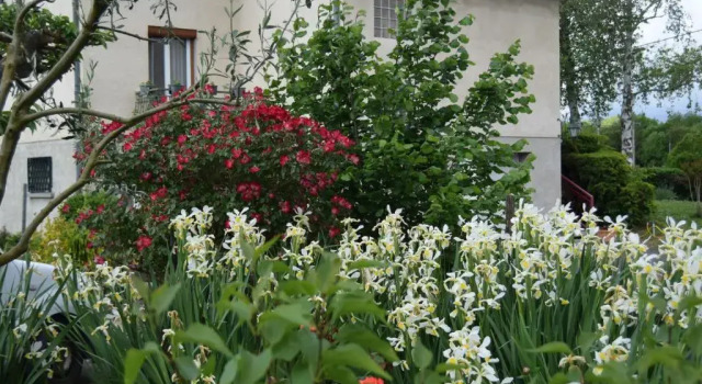 Le Nid de l'Ecureuil