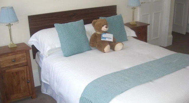 Номер Standard The Dolphin Hotel