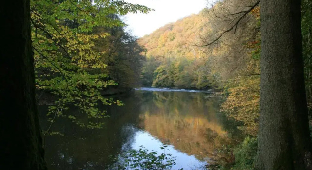 Le Gite Du Breux, Забронировать Апартаменты/квартира Апартаменты Land of Semois, Апартаменты/квартира