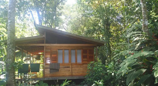 Номер Standard El Tucan Jungle Lodge