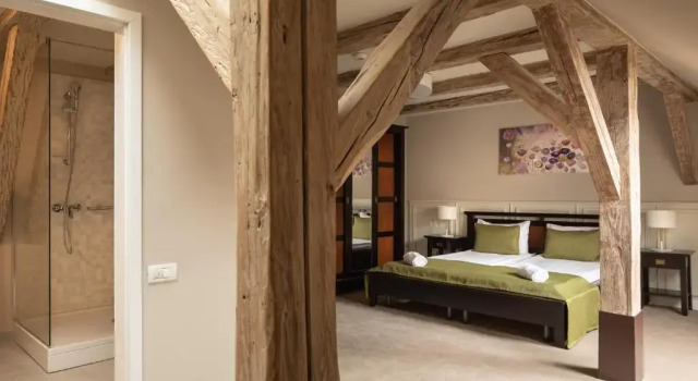 Двухместный номер Standard Мансарда Hirscher Loft