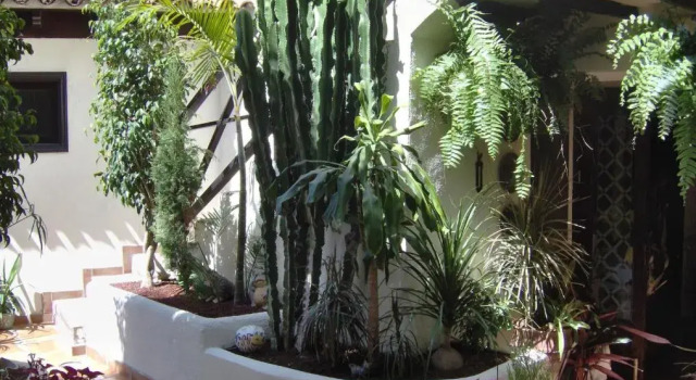 Kleines Studio mit Meerblick, Prenota Hotel Icod de los Vinos Tenerife