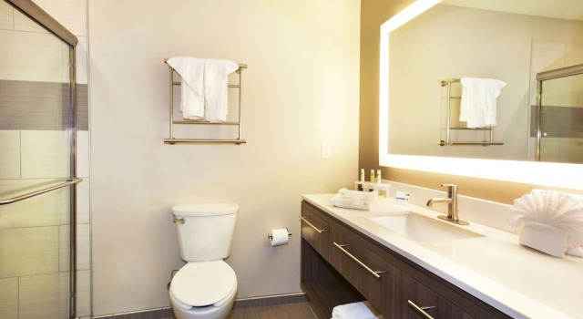 Четырёхместный люкс Holiday Inn Express Hotel & Suites Hot Springs by IHG