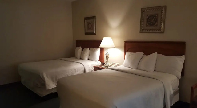Standard Vierer Zimmer mit Poolblick GOLD VAULT INN