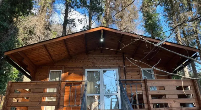 Трёхместный номер Standard с балконом Cypress House