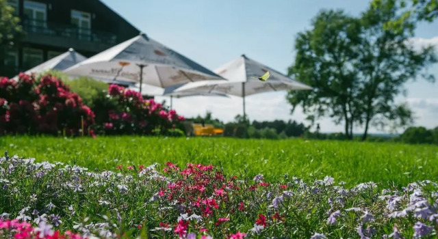 Одноместный номер Standard Hotel Landhaus Höpen