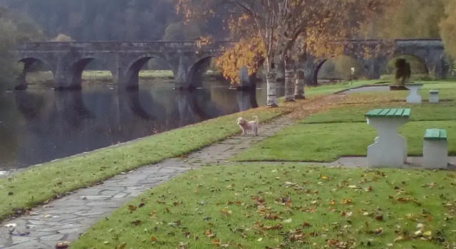 Woodstock Arms, Buchen Sie Hotel Inistioge Kilkenny County