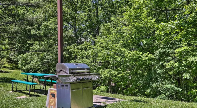 Апартаменты Condo w/ Pool & Grill Access ~ 4 Mi to Gatlinburg!