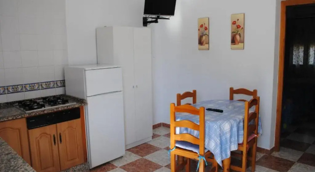 Апартаменты Apartamentos El Palmeral