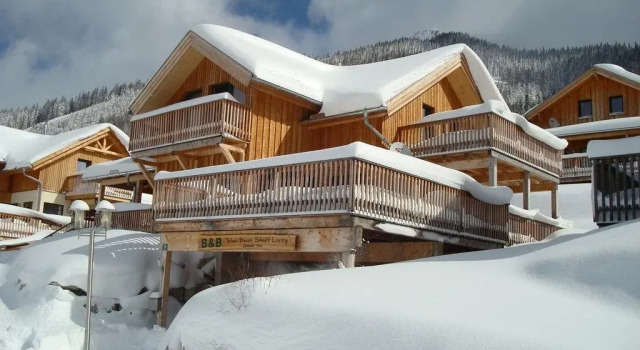 Chalet Slow Down Start Living, Rezerwuj Chalet Wille w Murtal, Willa