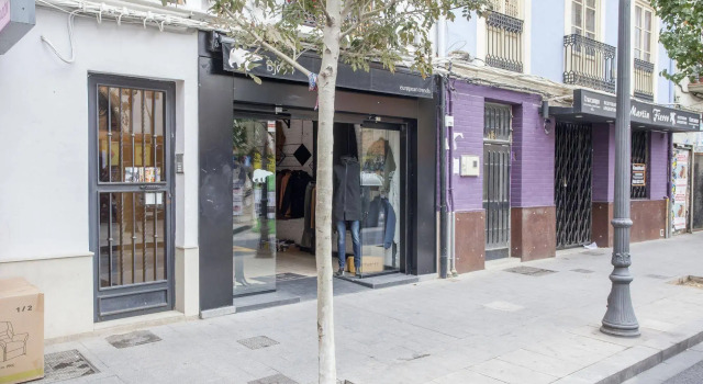ATICO RUZAFA Centro Ciudad pet friendly