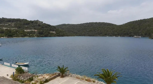 Номер Standard Apartments Palma