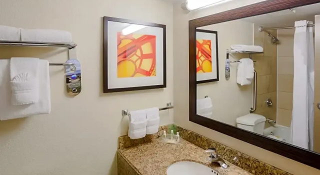 Двухместный номер Executive с балконом Holiday Inn Austin Midtown by IHG