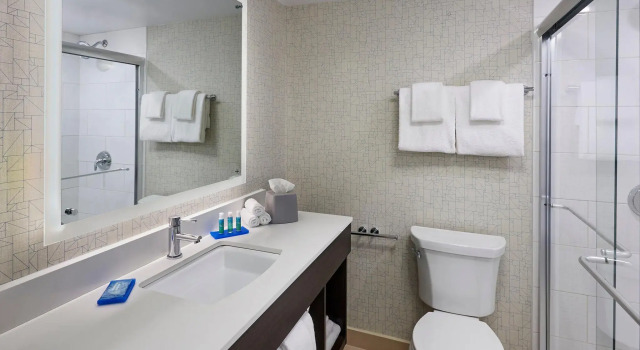 Номер Standard Holiday Inn Express Windsor Waterfront by IHG