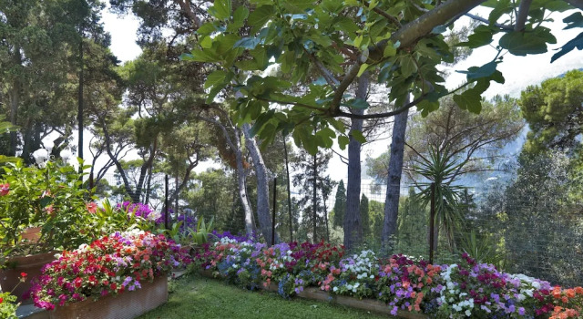 Номер Classic Hotel Villa Brunella