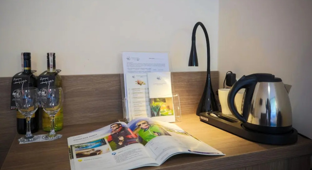 Двухместный номер Classic c 1 комнатой с балконом и с видом на горы Hotel***NAT Piwniczna Zdrój