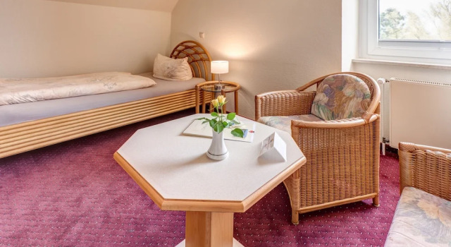 Одноместный номер Standard Ostsee-Hotel