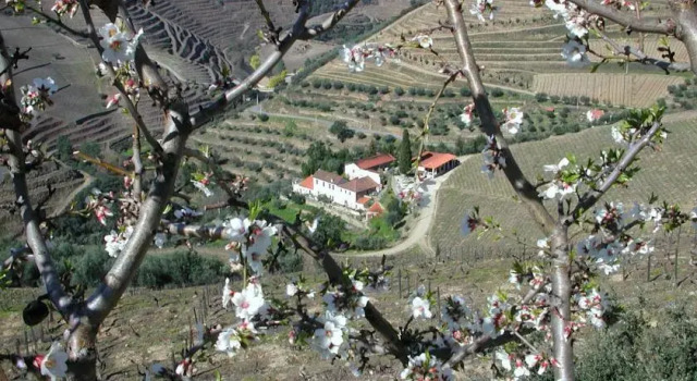 Quinta do Passadouro (Turismo), Book Inn Motels in Norte Region, Motel