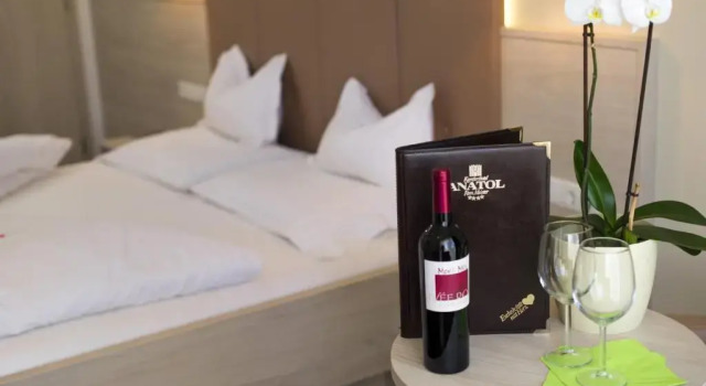 Номер Comfort Hotel Anatol