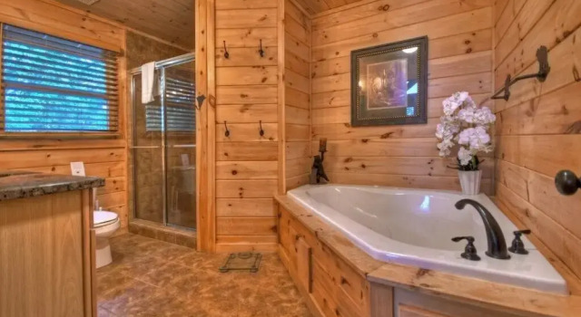 The Lone Star Cabin, Rezerwuj Dom wakacyjny Blue Ridge Georgia