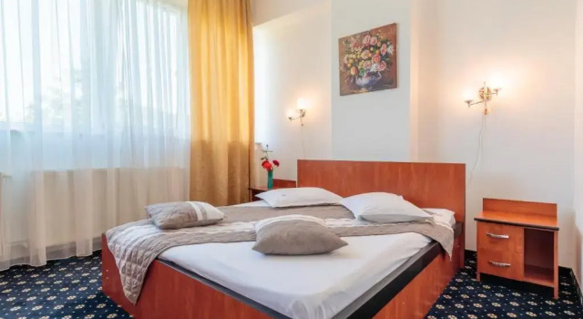 Номер Standard Motel Blue River Calimanesti
