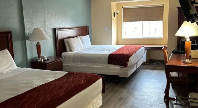 Двухместный номер Standard Expo Inn