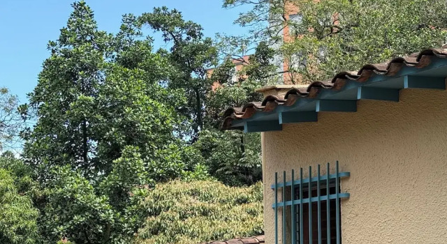 Autenthico Provenza Home Medellin, Book Hotel Hotels in Antioquia with Breakfast, Breakfasts