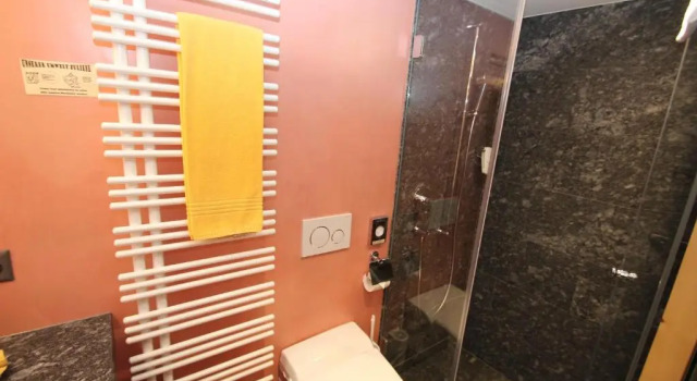 Camera singola Standard Hotel Gspan