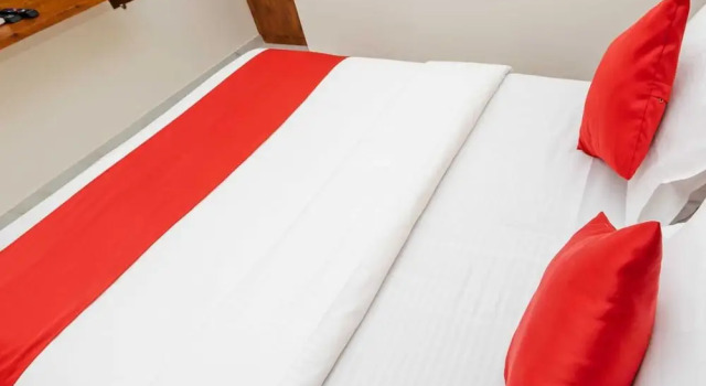 Номер Deluxe Hotel Purple Orchid
