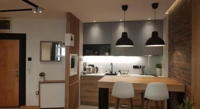 Апартаменты c 1 комнатой Tesla 3 Apartment